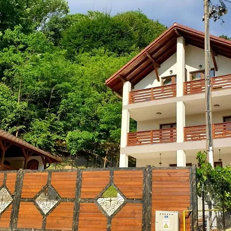 Guest house Casa Albinuta *