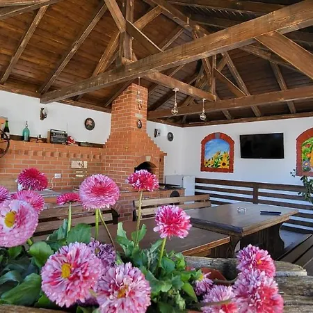 Guest house Casa Albinuta *