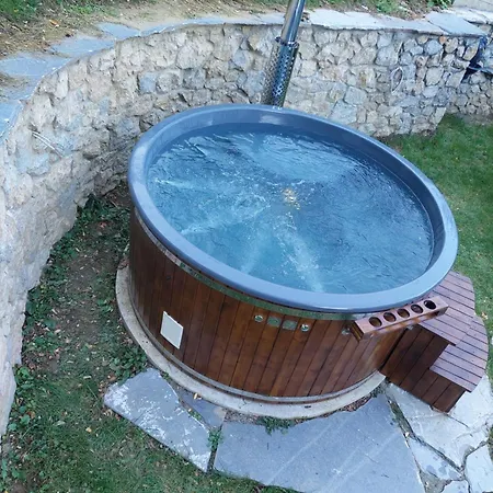Casa Albinuta Guest house *